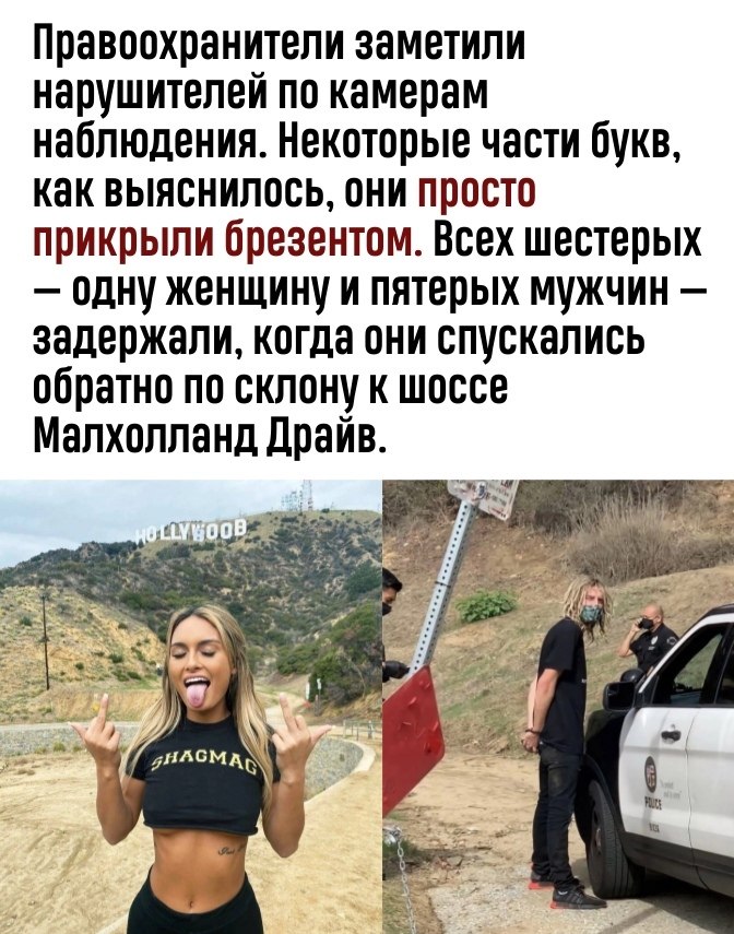  2017       Hollyweed ( ) - 2