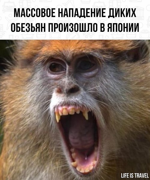 Хочется сказать спасибо, что у нас в стране таких проблем нет