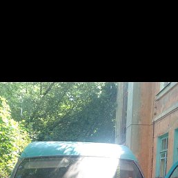 ���� ������, ����, 37 ��� - ��������� 14 ������ 2022