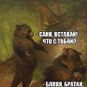  , , 40  -  24  2022