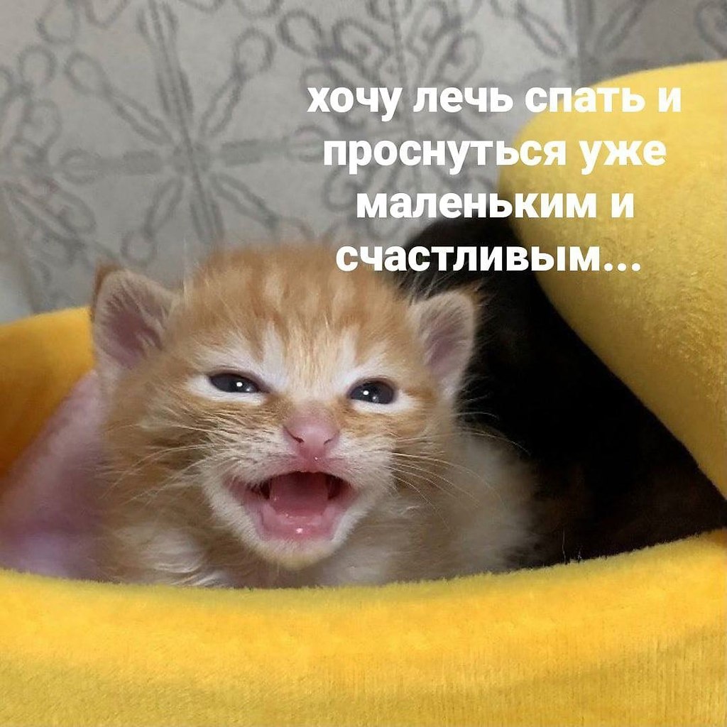   - 3  2023  22:33