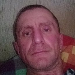 ����, �����-���������, 43 ����