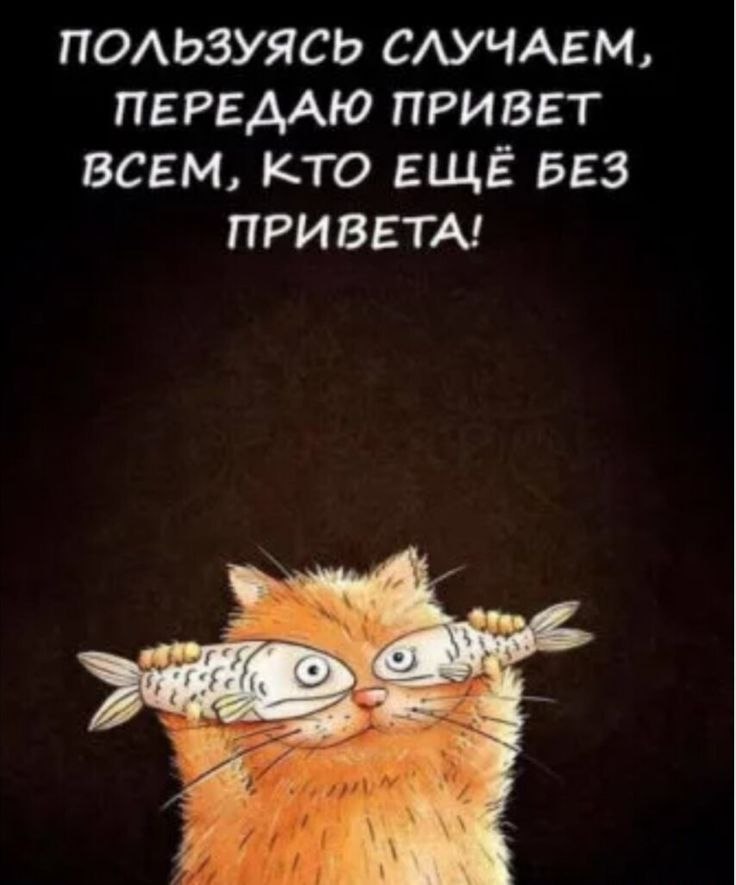   - 1  2022  22:07