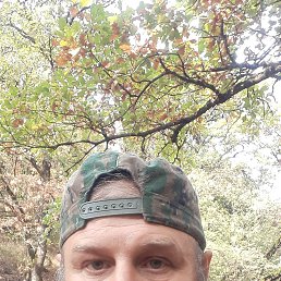 ���� �����, ������, 54 ���� - ��������� 18 ������� 2022