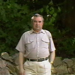 ����, ������, 84 ����