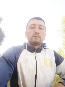 , 33 , 