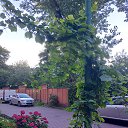 ���� ����, �����������, 64 ���� - ��������� 18 ���� 2022 � ������ ���������� � ���� 2022 �. .... )))�