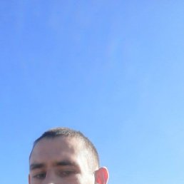 , , 31 