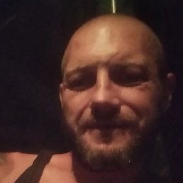 ����, ������������, 41 ���