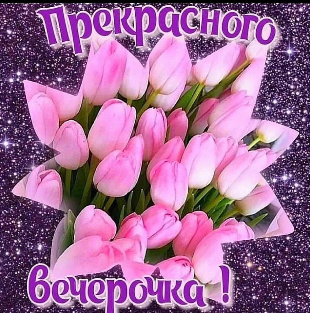   ,    . - 22  2022  17:08 - 8