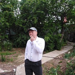 ������, ���������, 44 ����