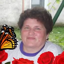 �����, �����-���������, 68 ���