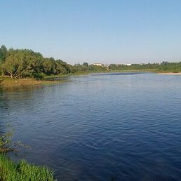 ��������, ���, 61 ���