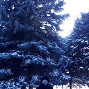 ���� �������., ������-��-����, 72 ���� - ��������� 5 ��� 2022