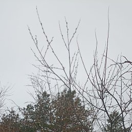 ���� �����, ����, 46 ��� - ��������� 20 ������ 2023