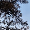 ���� �������, �����������, 48 ��� - ��������� 5 ������ 2022 � ������ ���� ����������