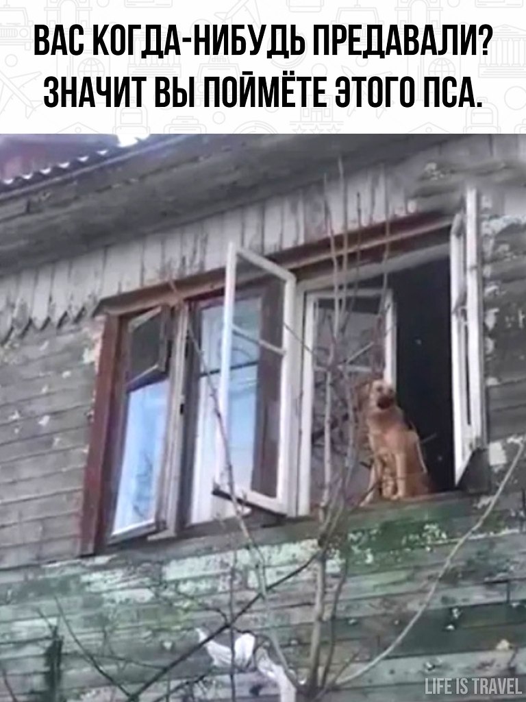    ,       .