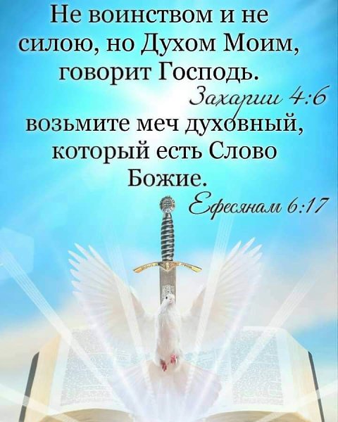   -   - 2  2022  13:19