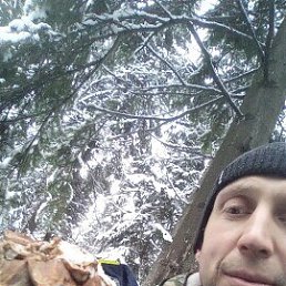 ���� �������, ����������, 43 ���� - ��������� 6 ������� 2023