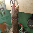 ��� ������. �� ������� ���� ����������