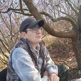 �����, ����, 43 ����