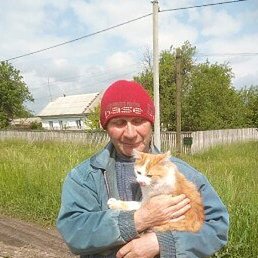 ��������, �������, 66 ���