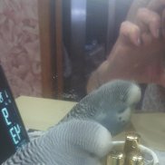 наталья, 63 года, Ставрополь наталья, 63 года, Ставрополь