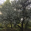 ���� �������, ������, 56 ��� - ��������� 1 ������� 2022 � ������ ���� ����������