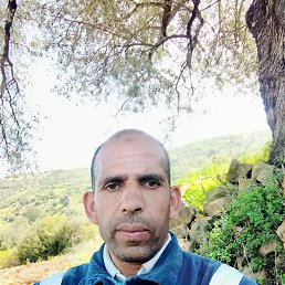 Ayowb moklis, 43, 