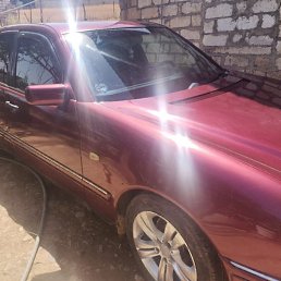 ���� Elad, ����, 40 ��� - ��������� 15 ������� 2023