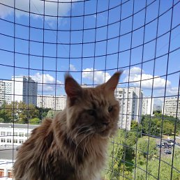 ���� �������, ������, 63 ���� - ��������� 18 ������� 2022