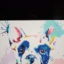 10.02.2022.�.��� ������� ���������� ��������. 30�� � 30��. �� ������� ���� ����������