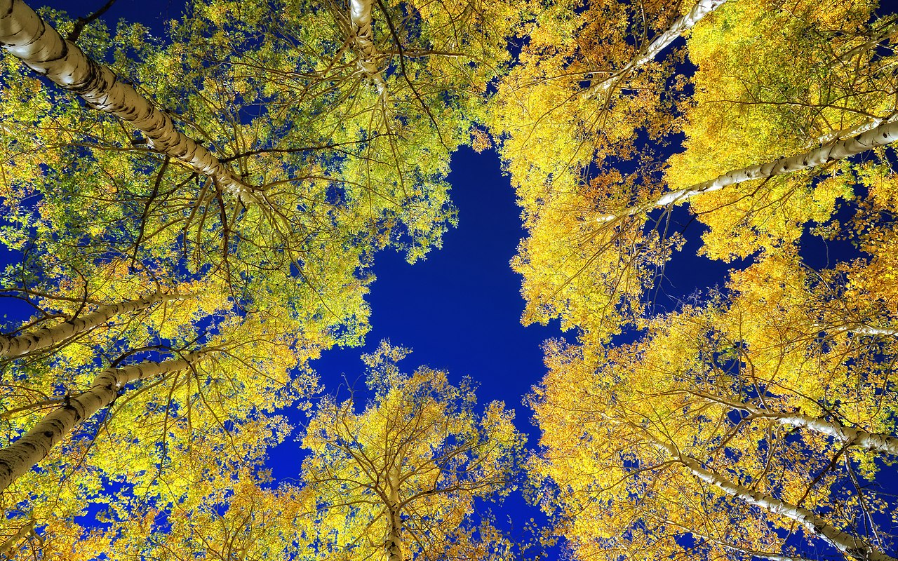   ,    . - 7  2022  18:59