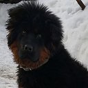  ,  -  27  2022    