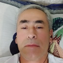 ������, �������, 52 ����