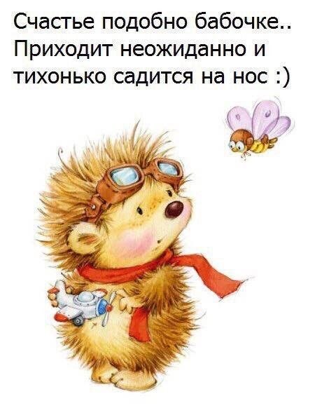������������� ���� - 5 ������� 2022 � 07:09
