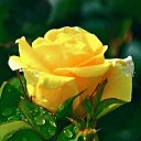 ���� ���������, ���������� - ��������� 25 ������ 2022 � ������ ���� ����������