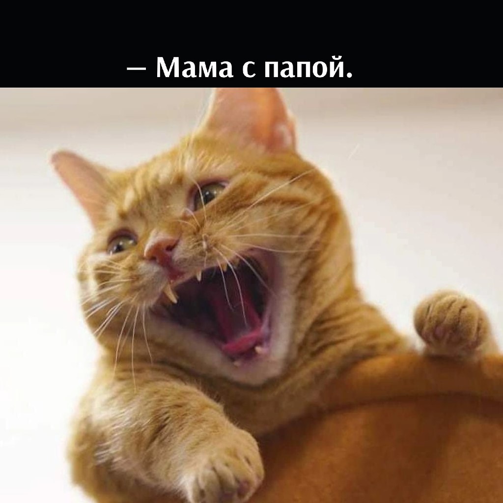       - 8  2022  16:27 - 4