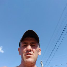 Sasa, , 42 
