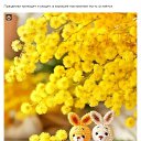  ----, , 57  -  18  2022    