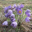 ���� ����, ����, 75 ��� - ��������� 9 ������ 2023 � ������ ���� ����������