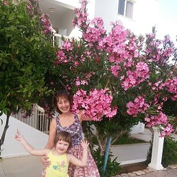 �����, ������, 70 ���