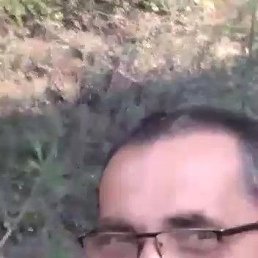 ���� �������, ������-��-����, 40 ��� - ��������� 26 ���� 2022