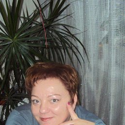 ���� �����, �������, 52 ���� - ��������� 9 ������� 2022