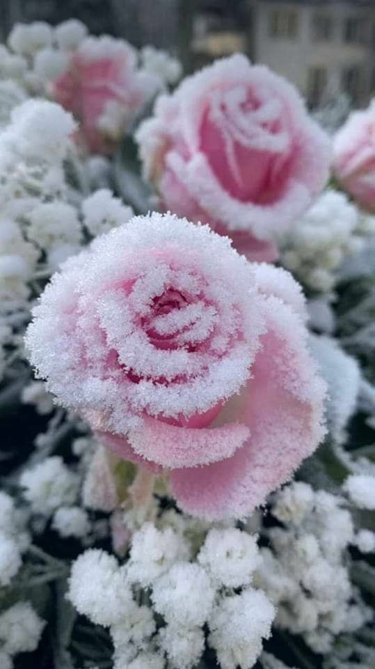  - 25  2023  14:02