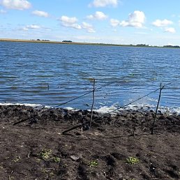 ���� �����, ������, 47 ��� - ��������� 3 ������� 2022