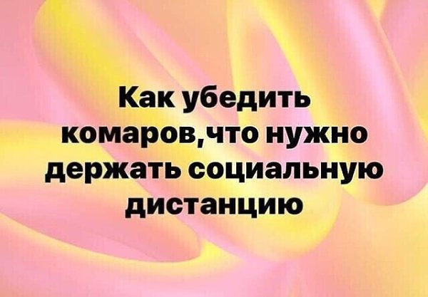 ☆ ☆ - 21  2022  13:28