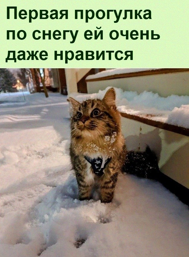   :D - 12  2022  14:28