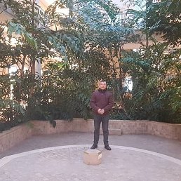 �������, ������, 39 ���