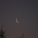  Nikolay,  -  28  2022    